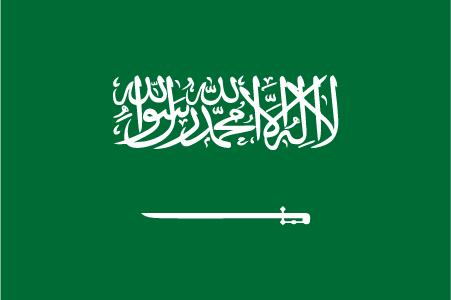 Icon representing Saudi Arabia