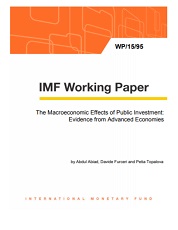 The Macroeconomic Effects of Public Investment: Evidence from Advanced Economies