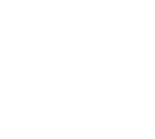 IMF Connect Footer Logo
